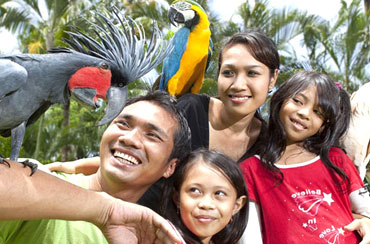 Bali Bird Park