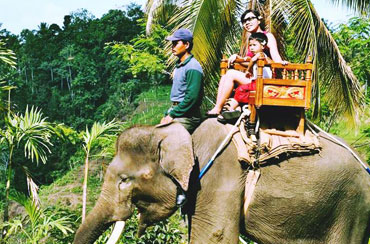 Bali Elephant Ride