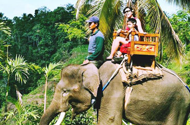 Bali Elephant Ride