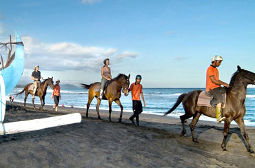 Bali Horse Riding