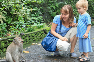 Ubud Monkey Forest