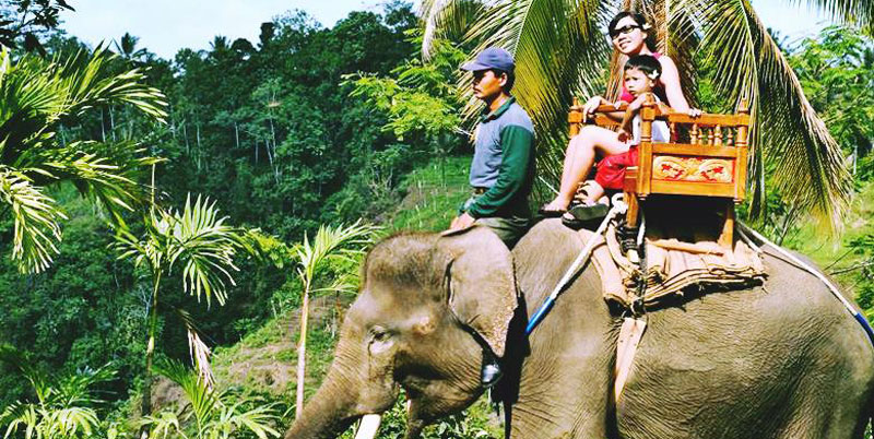 Bali Elephant Ride